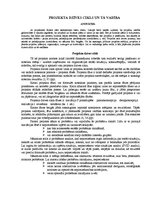 Referāts 'Projekta dzīves cikls un tā vadība', 1.