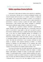 Eseja 'Ideāls uzņemšanas dienesta darbinieks', 1.