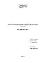 Referāts 'Radošās nozares apraksts', 1.