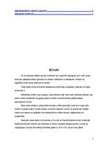 Referāts 'Radošās nozares apraksts', 3.