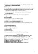 Referāts 'Radošās nozares apraksts', 19.