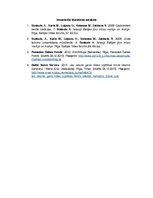 Konspekts 'Cilvēka ietekme uz Baltijas jūras vidi. Problēmu risināšana', 3.