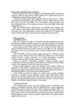 Konspekts 'Itālijas Republikas un Spānijas Karalistes politiskās iekārtas izveides un attīs', 4.