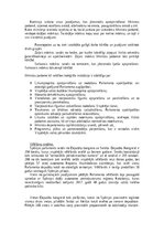 Konspekts 'Itālijas Republikas un Spānijas Karalistes politiskās iekārtas izveides un attīs', 13.