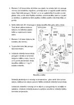 Konspekts 'Vinklera metode', 2.