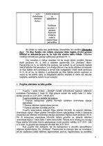 Konspekts 'Ziedu veikala "Ziediņš" vizuālā noformējum (gaismas izkārtnes) realizēšanas proj', 5.