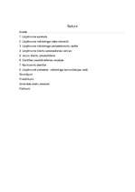 Prakses atskaite 'Prakses atskaite mārketingā', 2.