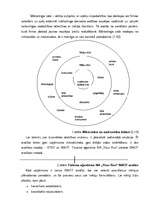Prakses atskaite 'Prakses atskaite mārketingā', 6.