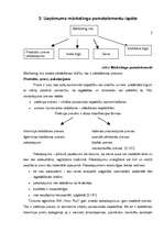 Prakses atskaite 'Prakses atskaite mārketingā', 10.