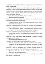 Prakses atskaite 'Prakses atskaite mārketingā', 17.