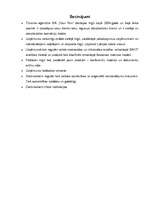 Prakses atskaite 'Prakses atskaite mārketingā', 25.