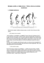 Konspekts 'Bioloģijas saistība ar reliģiju temata "Cilvēka rašanās un evolūcija" skaidrošan', 1.