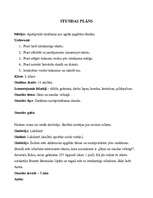 Konspekts 'Literatūras stundas plāns', 1.