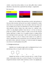 Referāts 'Pašizpētes un pašnovērtējuma darbs studiju kursa "Lietišķā saskarsme" daļā SIA "', 8.