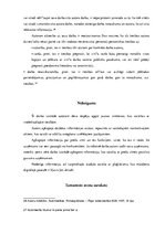 Referāts 'Mājas darbs Intelektuālā īpašuma tiesībās', 11.