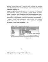 Referāts 'Organisko un neorganisko vielu ietekme uz augiem zem mākslīgā apgaismojuma', 9.