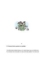 Referāts 'Organisko un neorganisko vielu ietekme uz augiem zem mākslīgā apgaismojuma', 11.