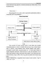 Referāts 'Līzings Latvijā', 9.