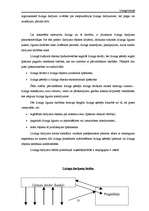 Referāts 'Līzings Latvijā', 13.