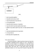 Referāts 'Līzings Latvijā', 14.