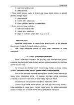 Referāts 'Līzings Latvijā', 16.