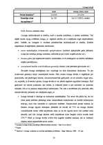 Referāts 'Līzings Latvijā', 20.