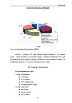 Referāts 'Līzings Latvijā', 25.