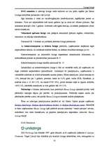 Referāts 'Līzings Latvijā', 32.