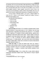 Referāts 'Līzings Latvijā', 33.