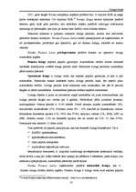 Referāts 'Līzings Latvijā', 35.