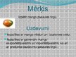Prezentācija 'Mango augļu tirgus', 2.