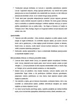 Referāts 'Tūrisms Lietuvā', 19.