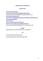 Referāts 'Tūrisms Lietuvā', 22.