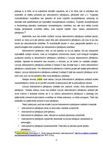 Referāts 'Administratīvie pārkāpumi', 13.