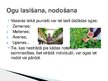 Prezentācija 'Darba tirgus jauniešiem', 2.