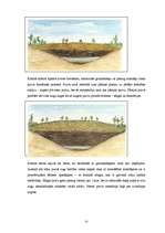 Referāts 'Purvi. Kūdras izmantošana Latvijā', 20.