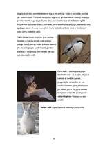 Referāts 'Purvi. Kūdras izmantošana Latvijā', 22.