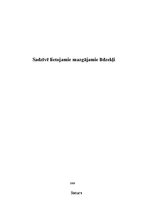 Referāts 'Sadzīvē lietojamie mazgājamie līdzekļi', 1.