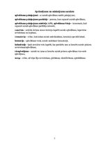 Referāts 'Klientu izvēli ietekmējošie faktori apbedīšanas pakalpojumu tirgū Latvijā', 3.