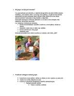 Eseja 'Vai grupa var būt komanda?', 1.