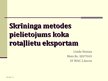 Referāts 'Skrīninga metodes pielietojums koka rotaļlietu eksportam', 1.
