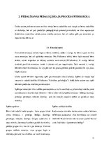 Prakses atskaite 'Pirmsskolas izglītības prakses dienasgrāmata', 11.