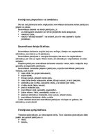 Referāts 'Banketa plāns. Rožu kāzas', 5.