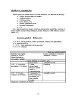 Referāts 'Banketa plāns. Rožu kāzas', 14.