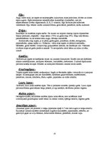 Referāts 'Banketa plāns. Rožu kāzas', 18.