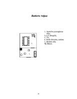 Referāts 'Banketa plāns. Rožu kāzas', 33.