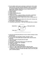 Referāts 'Banketa plāns. Rožu kāzas', 38.