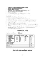 Referāts 'Banketa plāns. Rožu kāzas', 41.