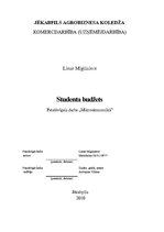 Paraugs 'Studenta budžets', 1.