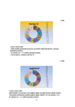 Paraugs 'Studenta budžets', 15.